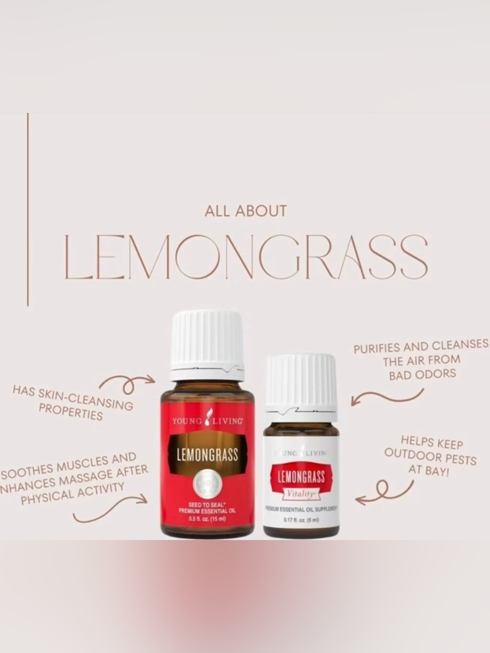 Young Living Lemongrass Essential Oil - Brand New Sealed Unopened 15 ml bottle - Picture 4 of 8